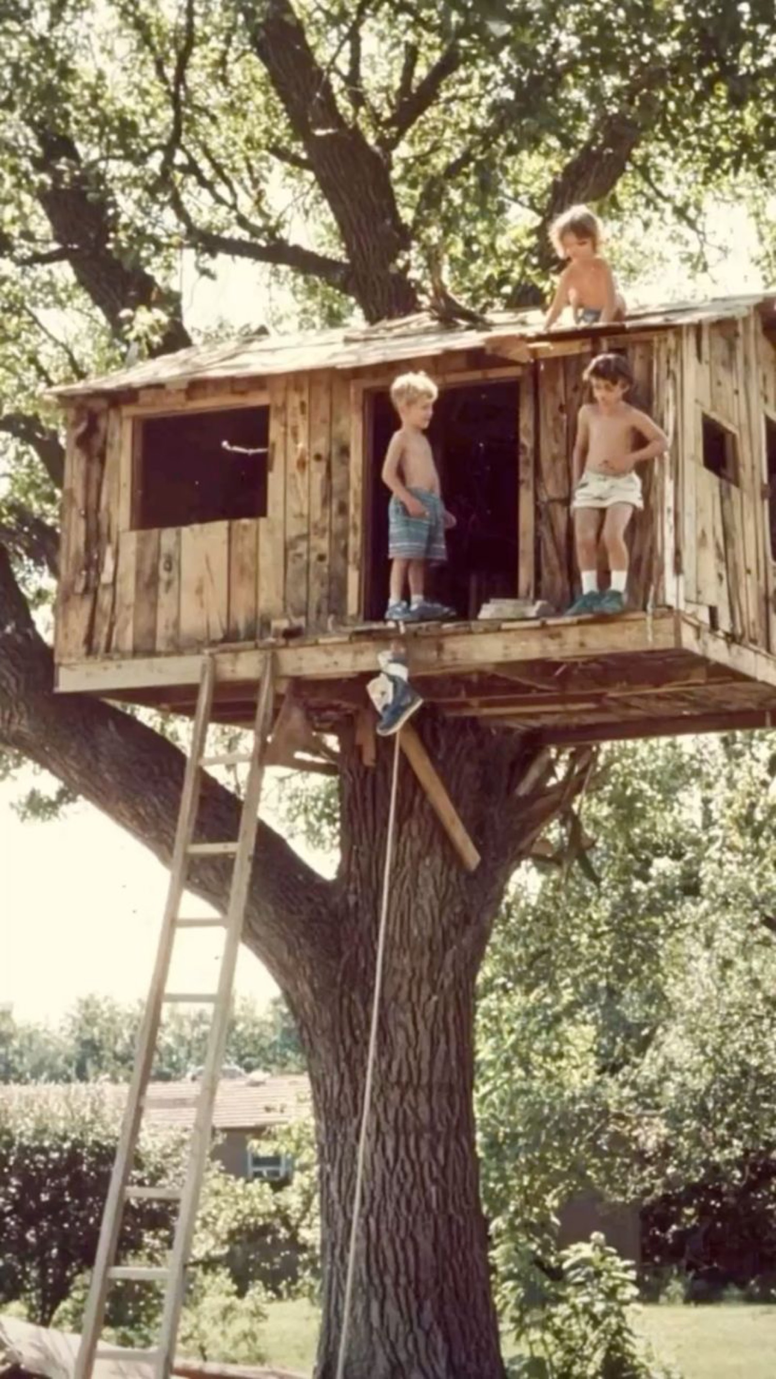 Ninos jugando en una casa del arbol, al aire libre y sin pantallas